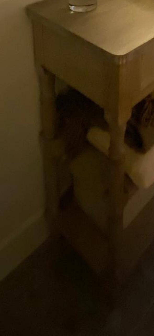 Kastje voor in de hal of woonkamer