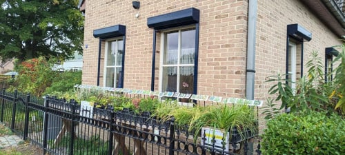 Siergrassen in ons plantenkraampje: ACTIE 1 + 1 GRATIS (2 stuks voor €1,25)