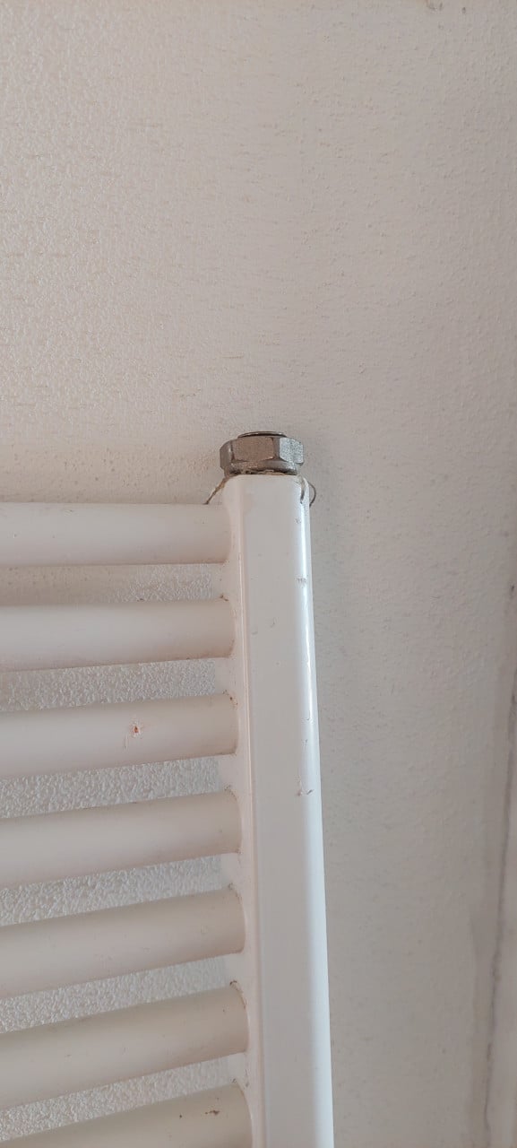 Radiator wit Vasco badkamer