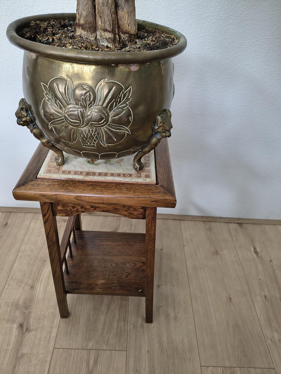 Kamerplant met pot en plantentafeltje