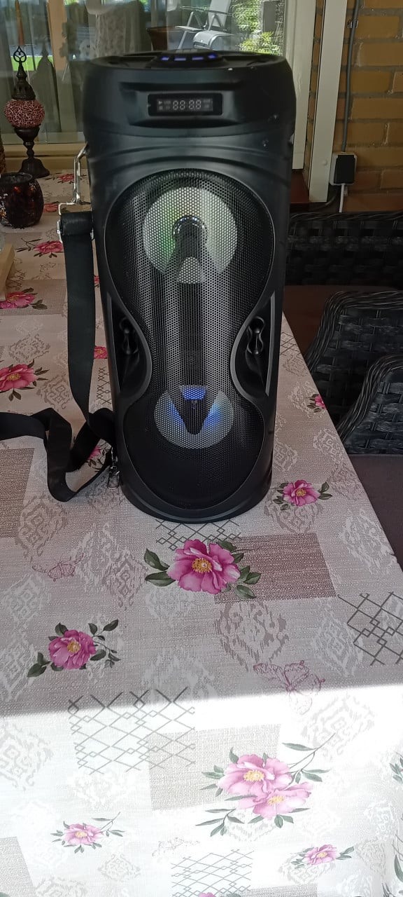 Roseland speaker