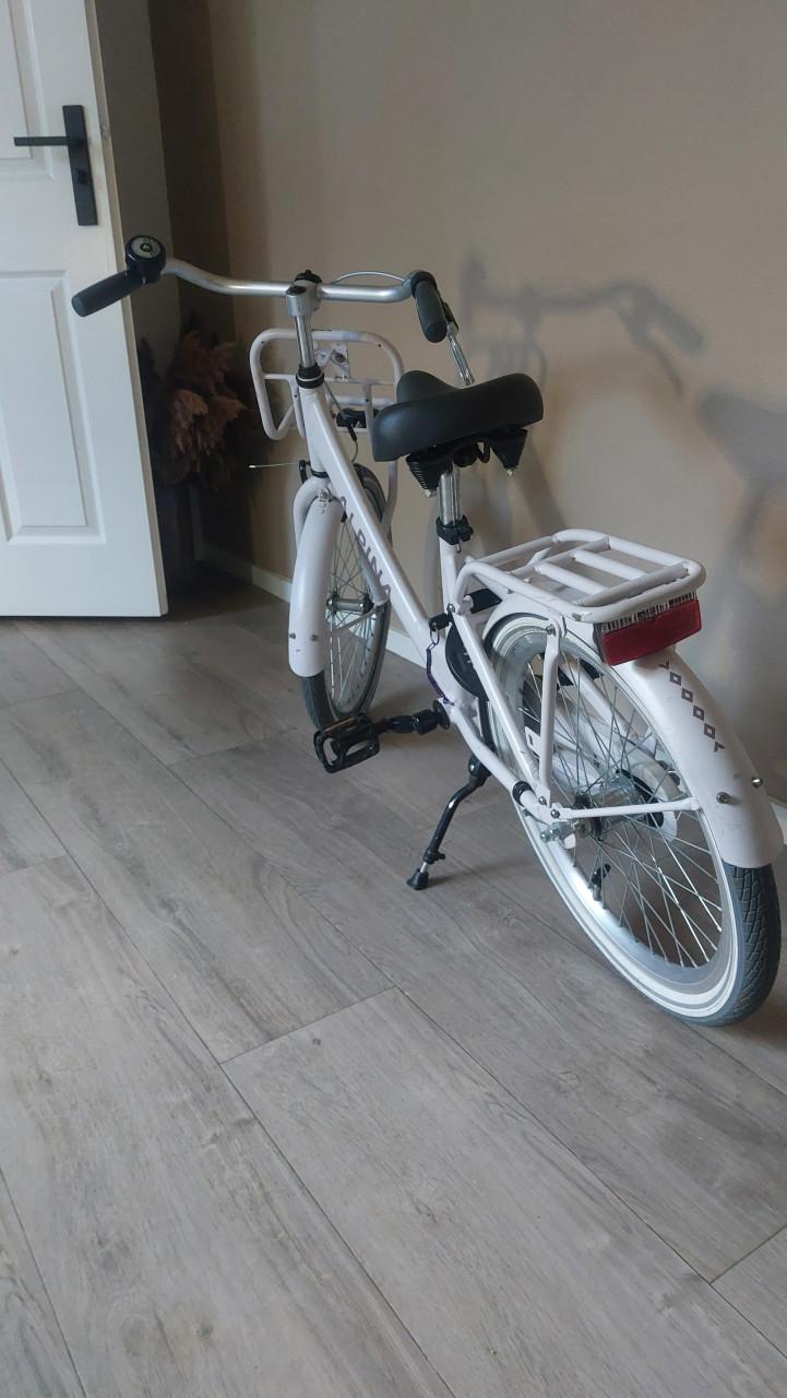 Alpina Clubb 20 inch