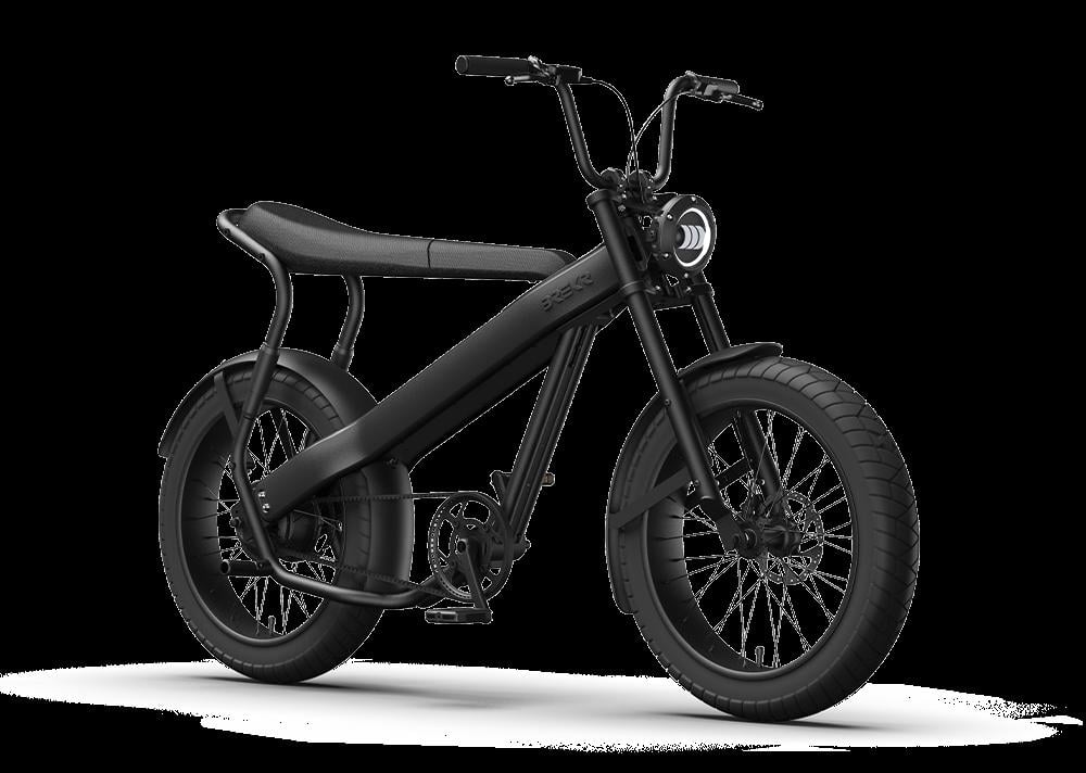 BREKR F250 stoere E-BIKE