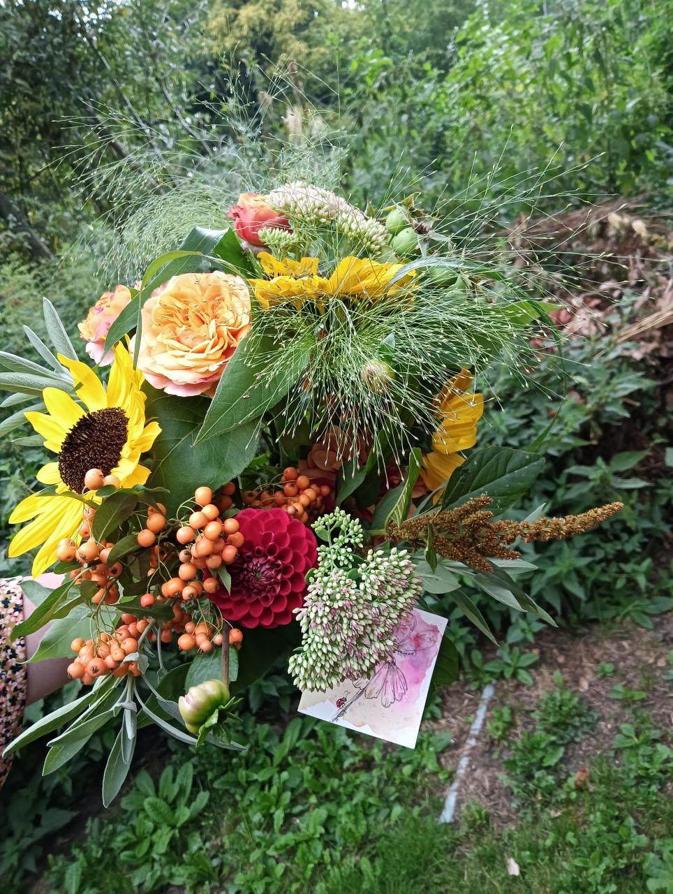 Eucalyptus snoeien tegen mooie bos bloemen