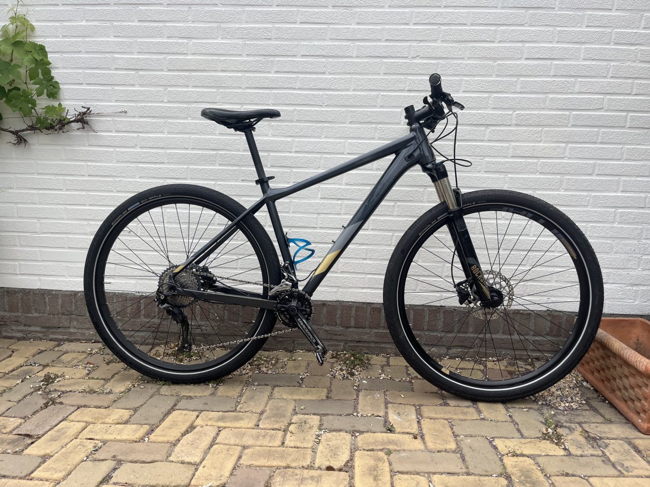 Mountainbike Cube Acces SL