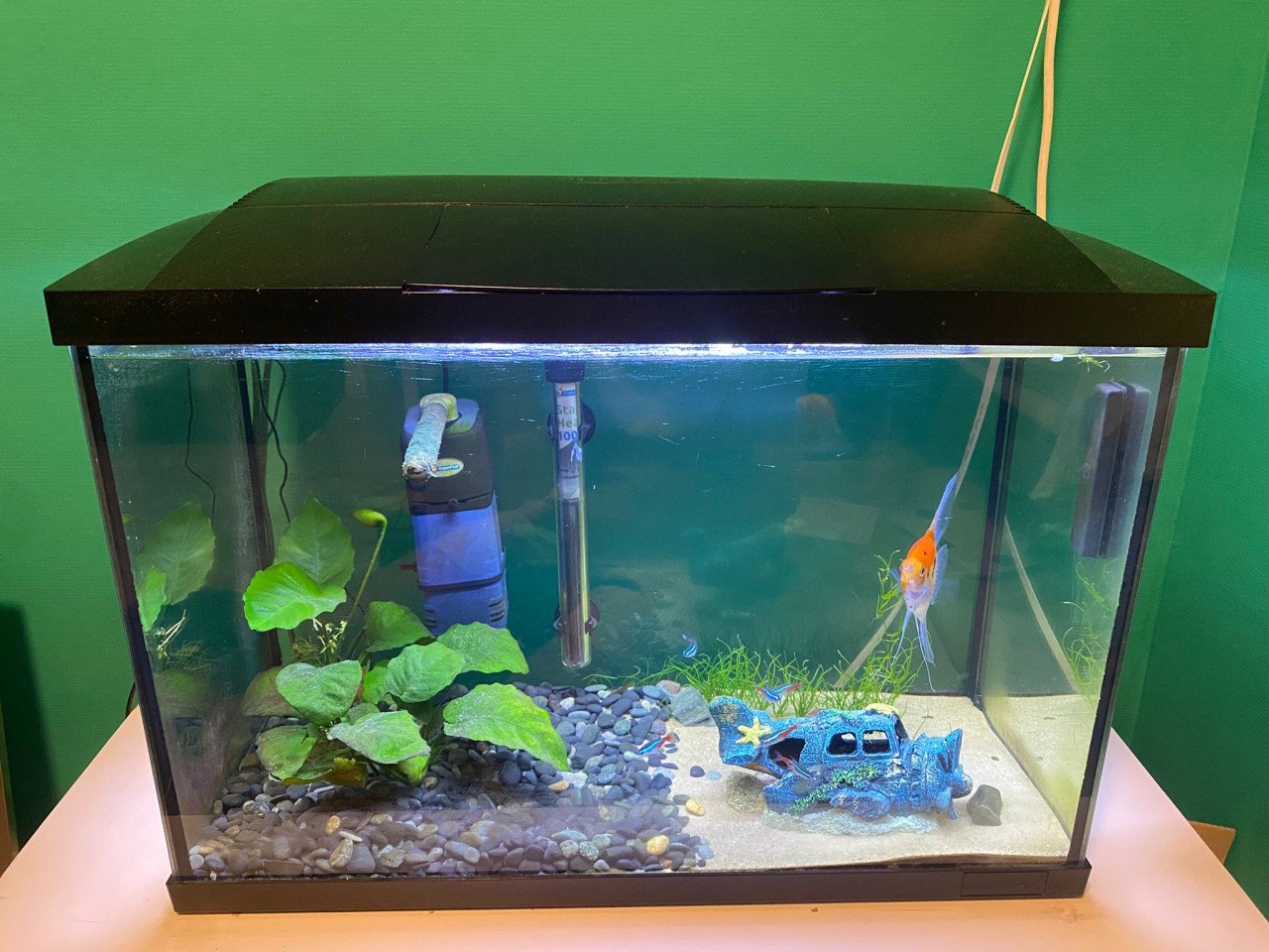 Aquarium Superfish 60x30x40 + benodigdheden