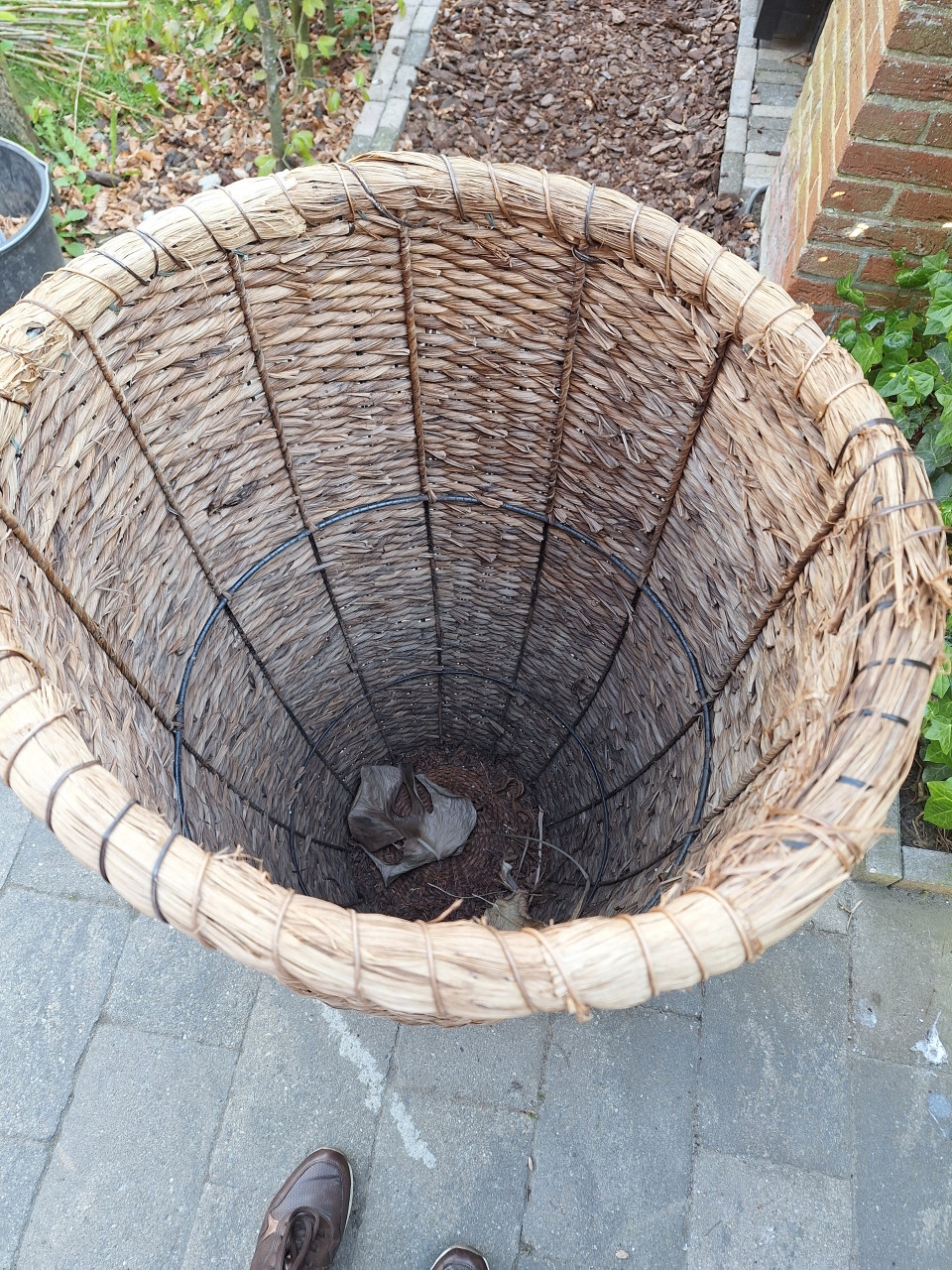Planten mand