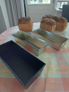 Bakblikken