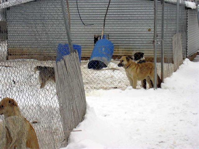 Supermooi kinderburo