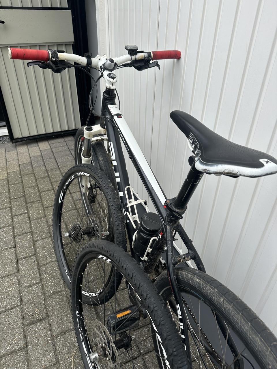 Bulls Kings Cobra Disc