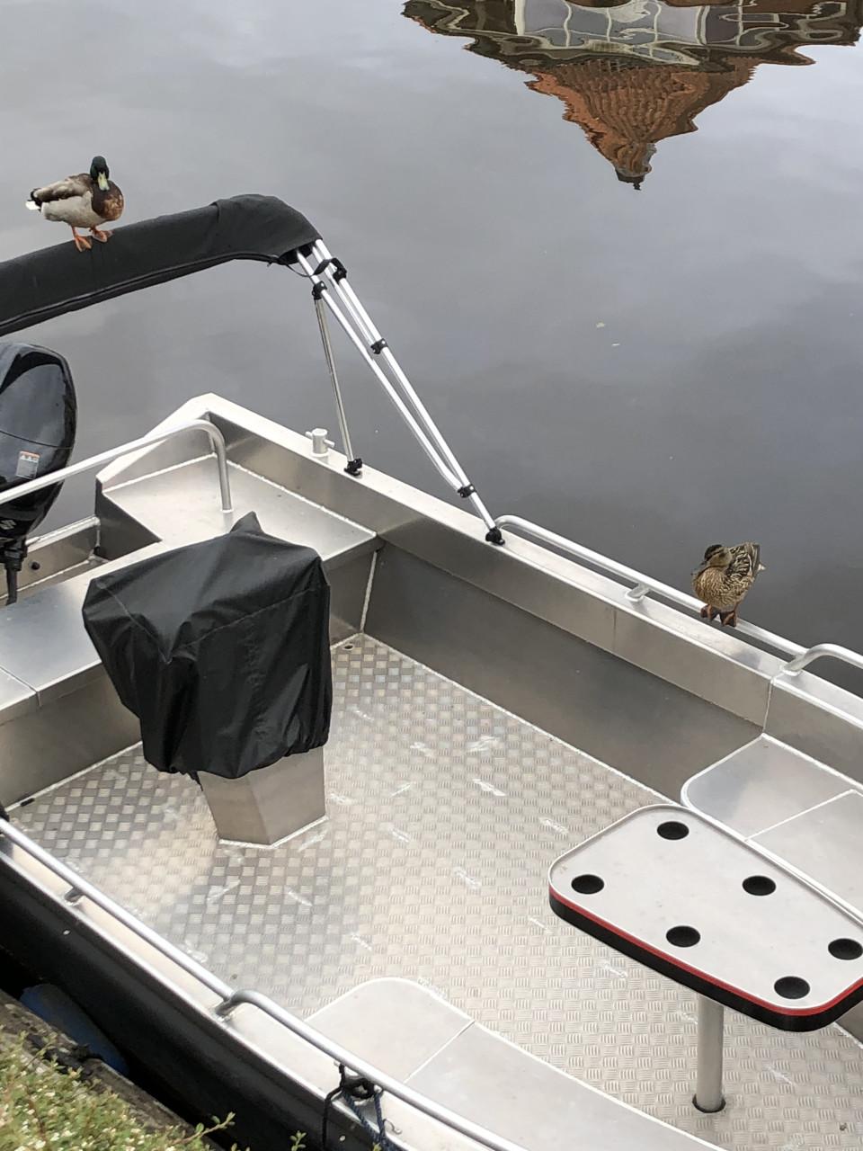 Aluva sloep Suzuki 60pk incl trailel  SL750