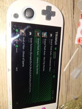 Trimui smart pro