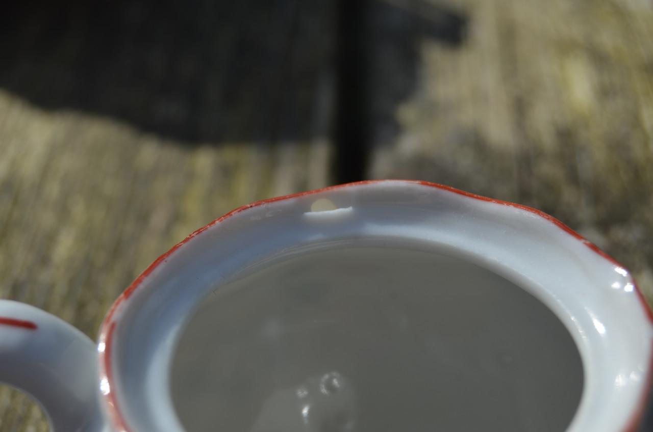 Prachtig kinder/poppenserviesje porselein