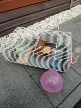 Hamsterkooi