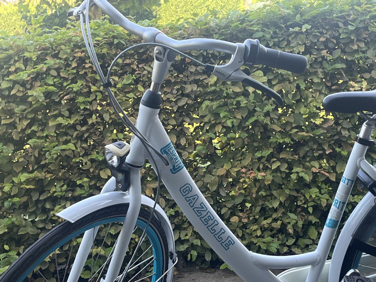 Gazelle meisjesfiets. Mooi en goed