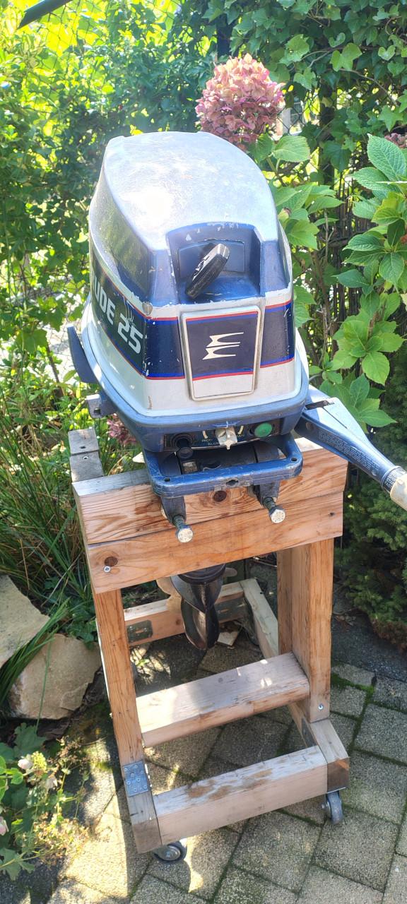 Evinrude 25 pk