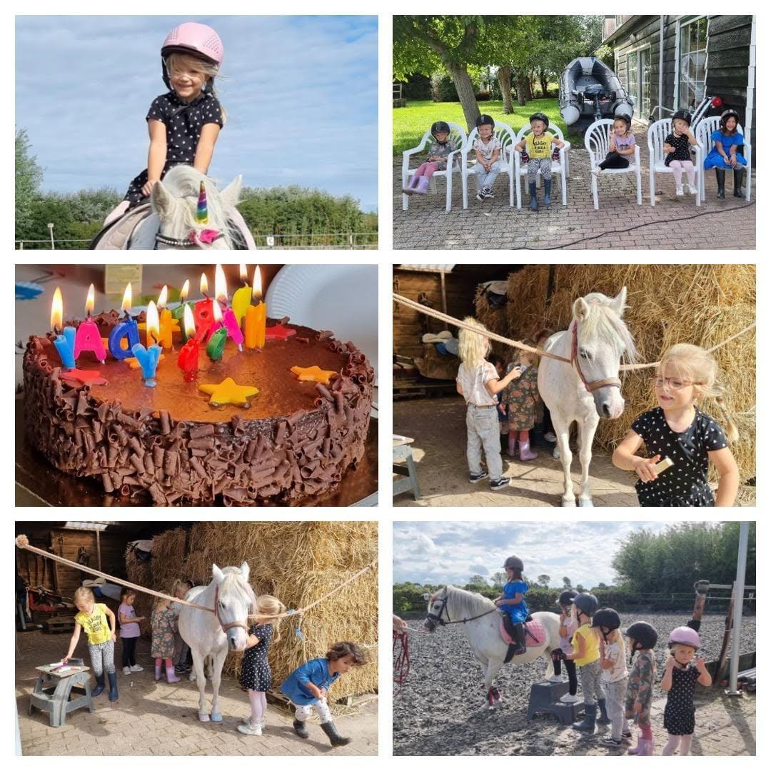 🐴 Pony Kinderfeestjes 🥳