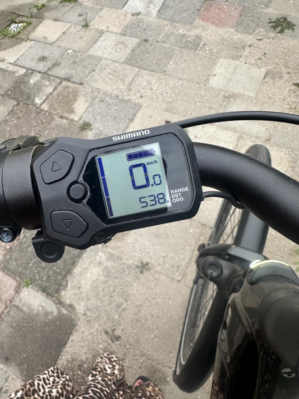Vicenza Diamond Dames Stella E-bike