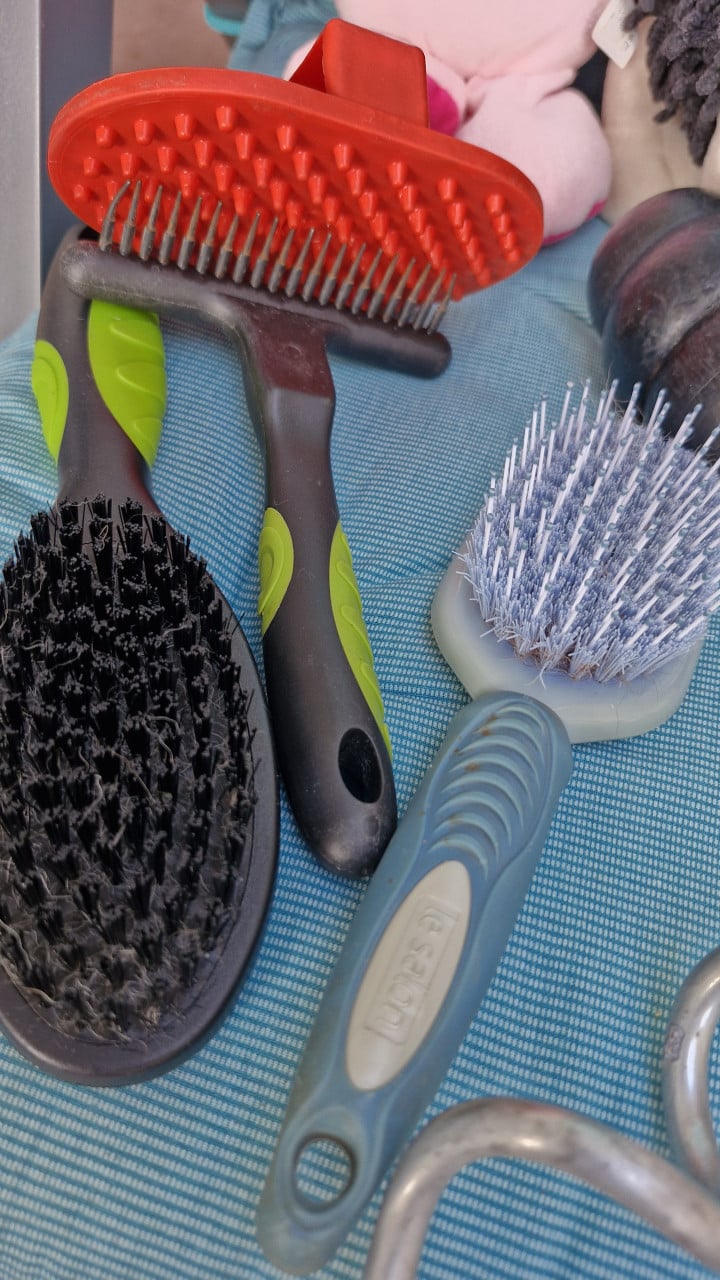 Diverse spulletjes voor hond