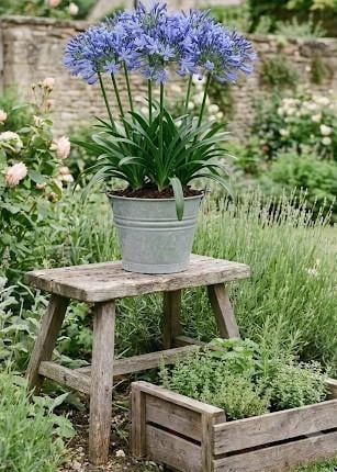 Diverse zinken items voor de tuin