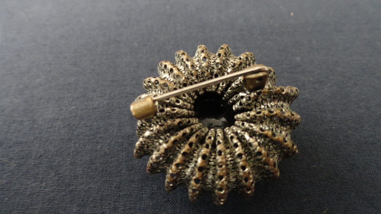 Speld met zwarte steen met strass steentjes eromheen. Leuk ding. (zie foto’