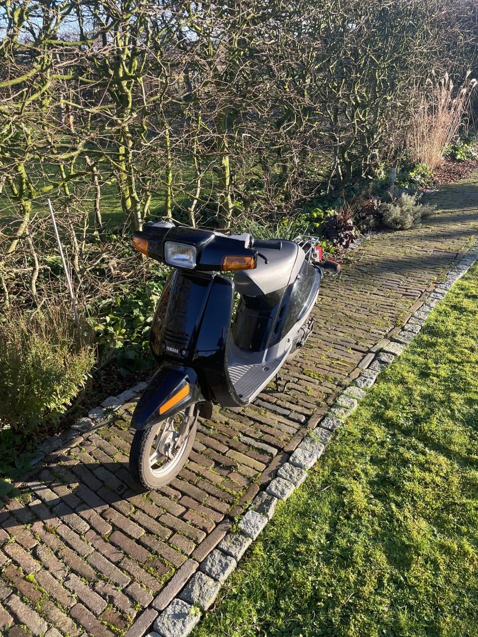 Yamaha mint