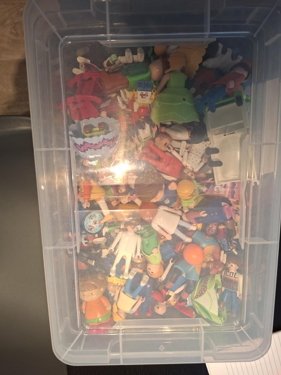 Playmobile grote partij