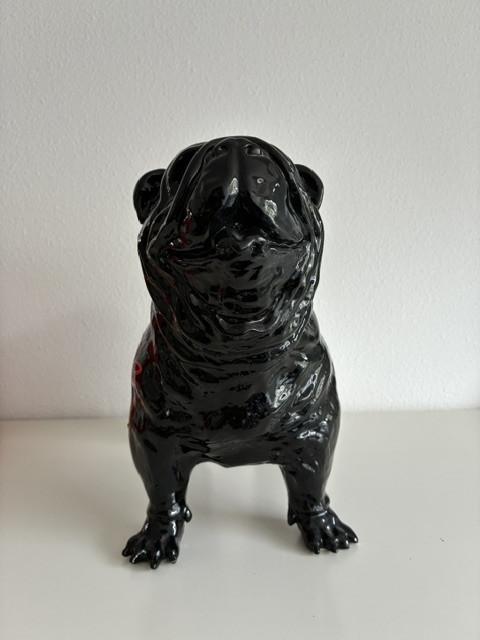 Wove-dogs van Hannes d'Haese