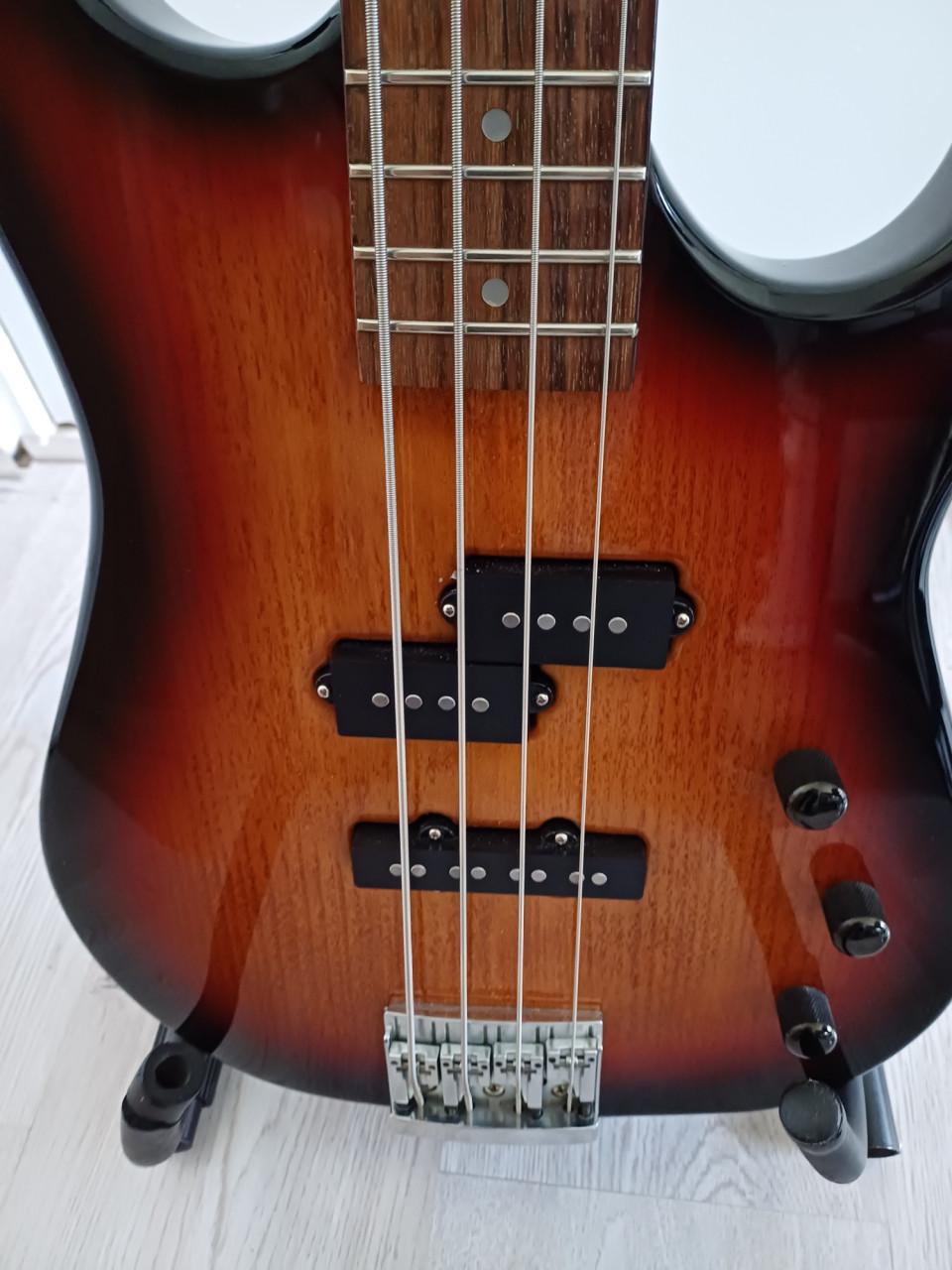 Basgitaar met hoes € 200,-