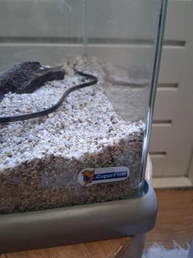 Aquarium