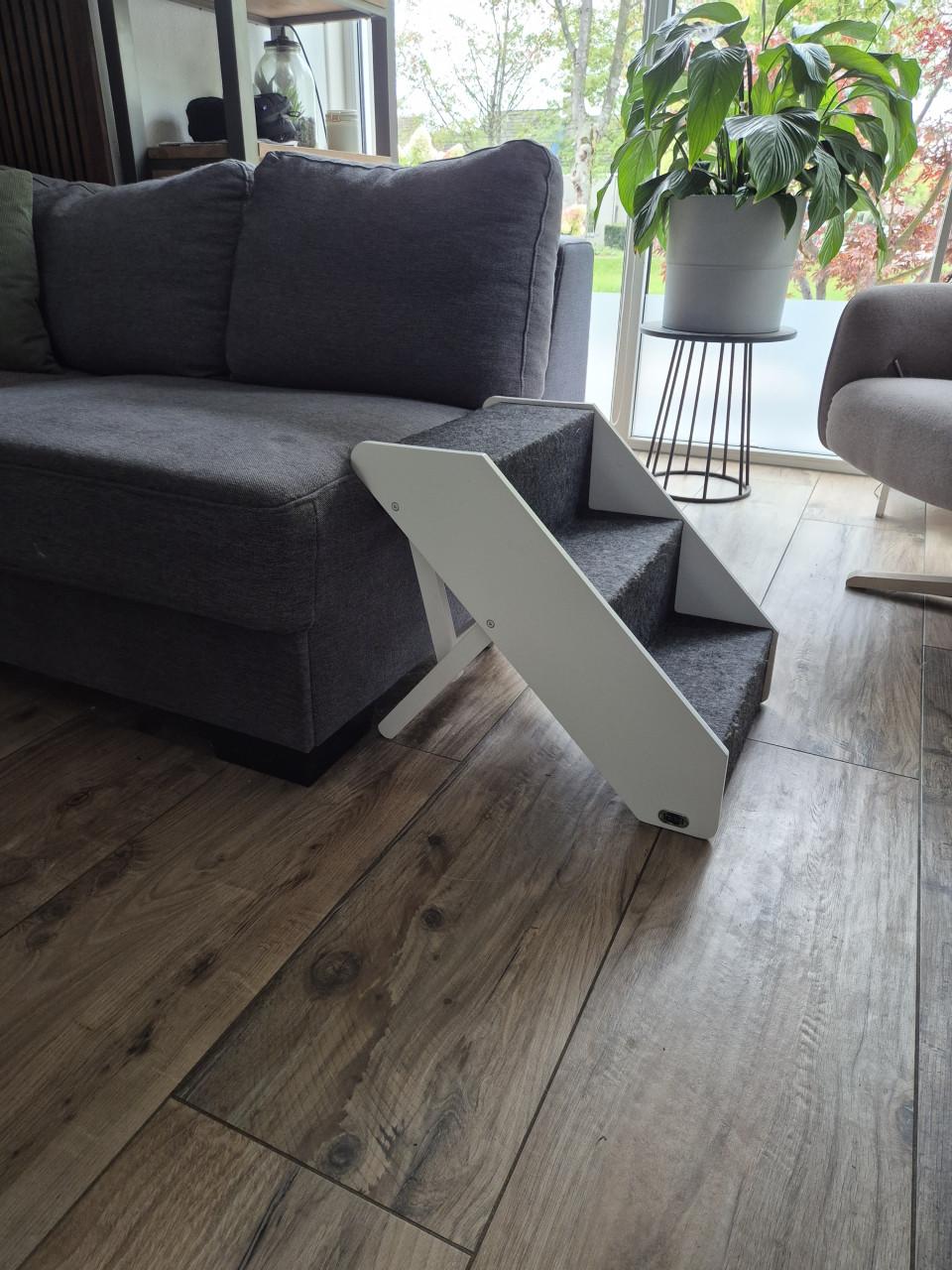 Honden Trap