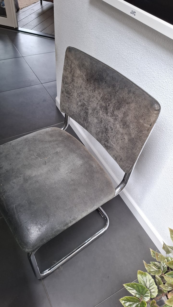 Buisframe stoelen Leer