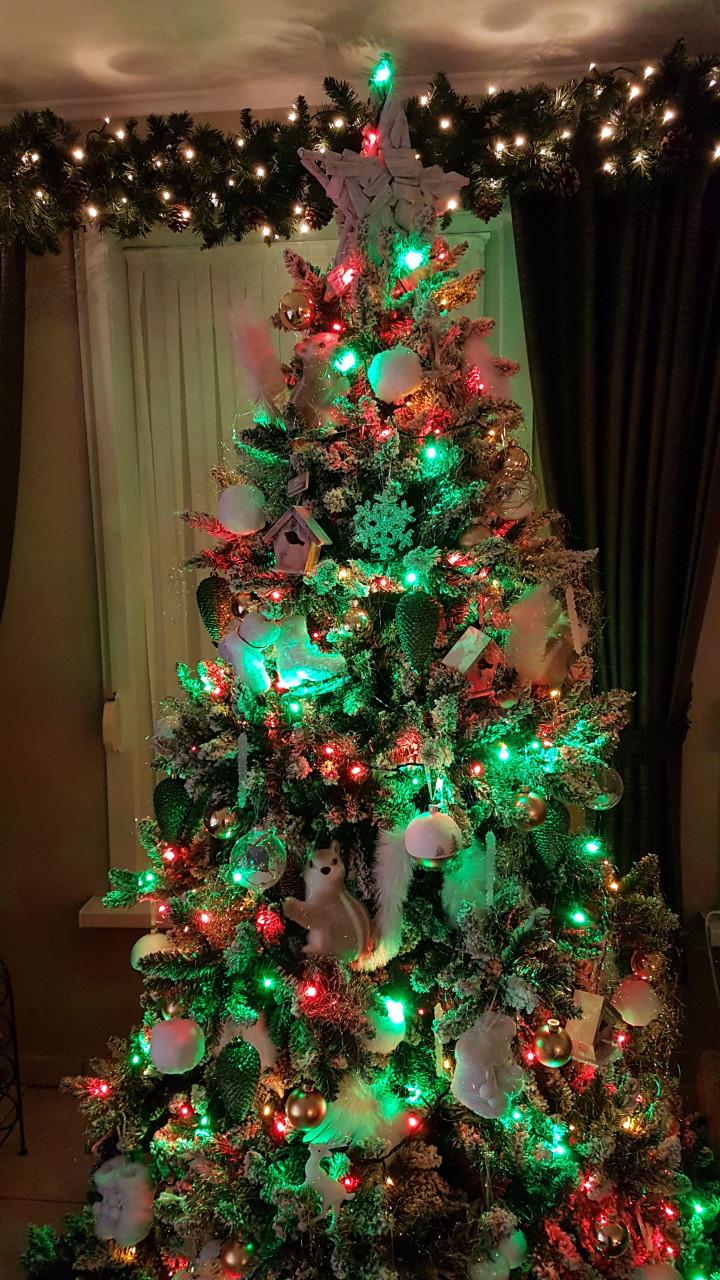 Kerstboom besneeuwd
