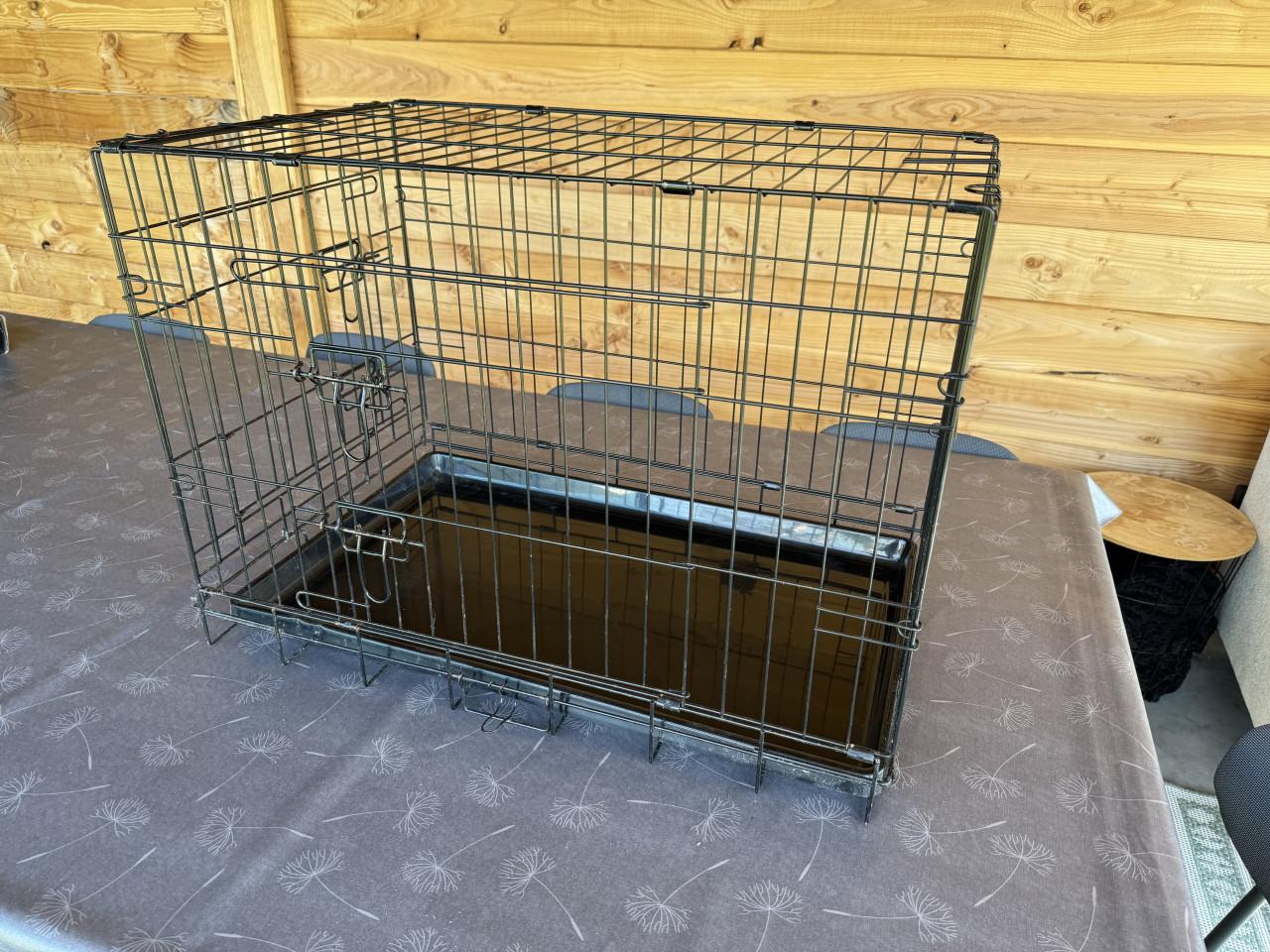 Bench (hond of kat)