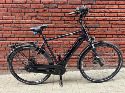 Prachtige Pegasus Ravenna EVO 8F elektrische fiets Bosch 400Wh 58cm