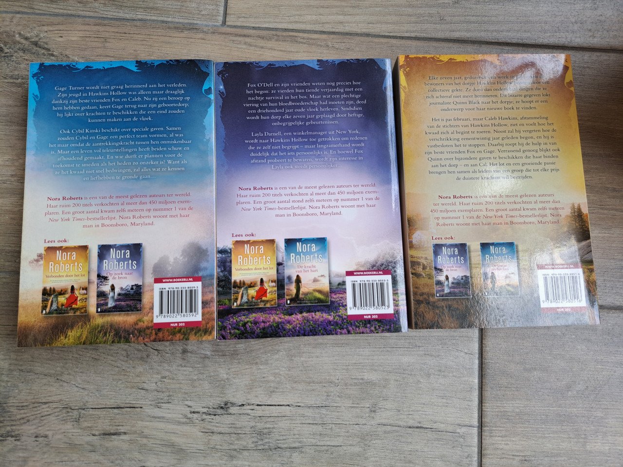 Nora Roberts  - Op zoek naar de bron  -