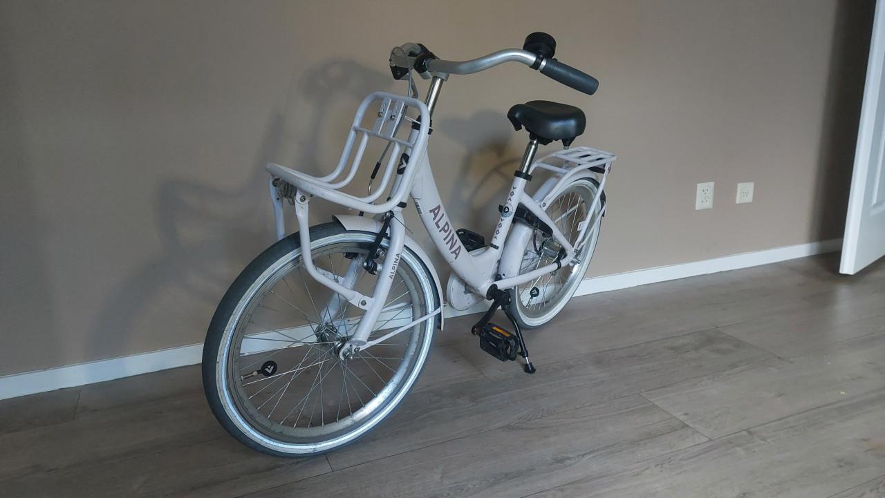 Alpina Clubb 20 inch