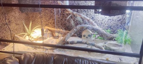 Terrarium