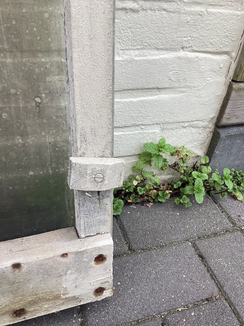2 oude houten stal ramen samen voor €30