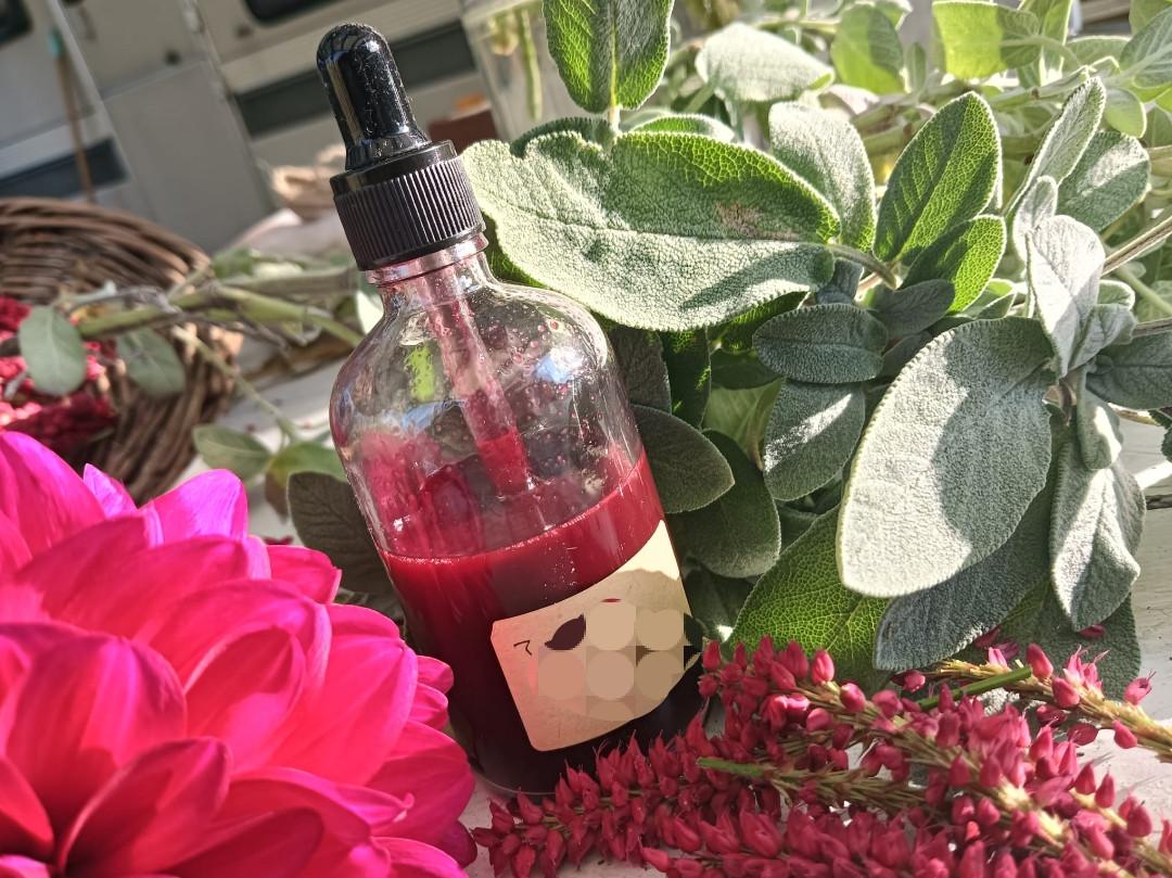 Wildplukwinterwandeling