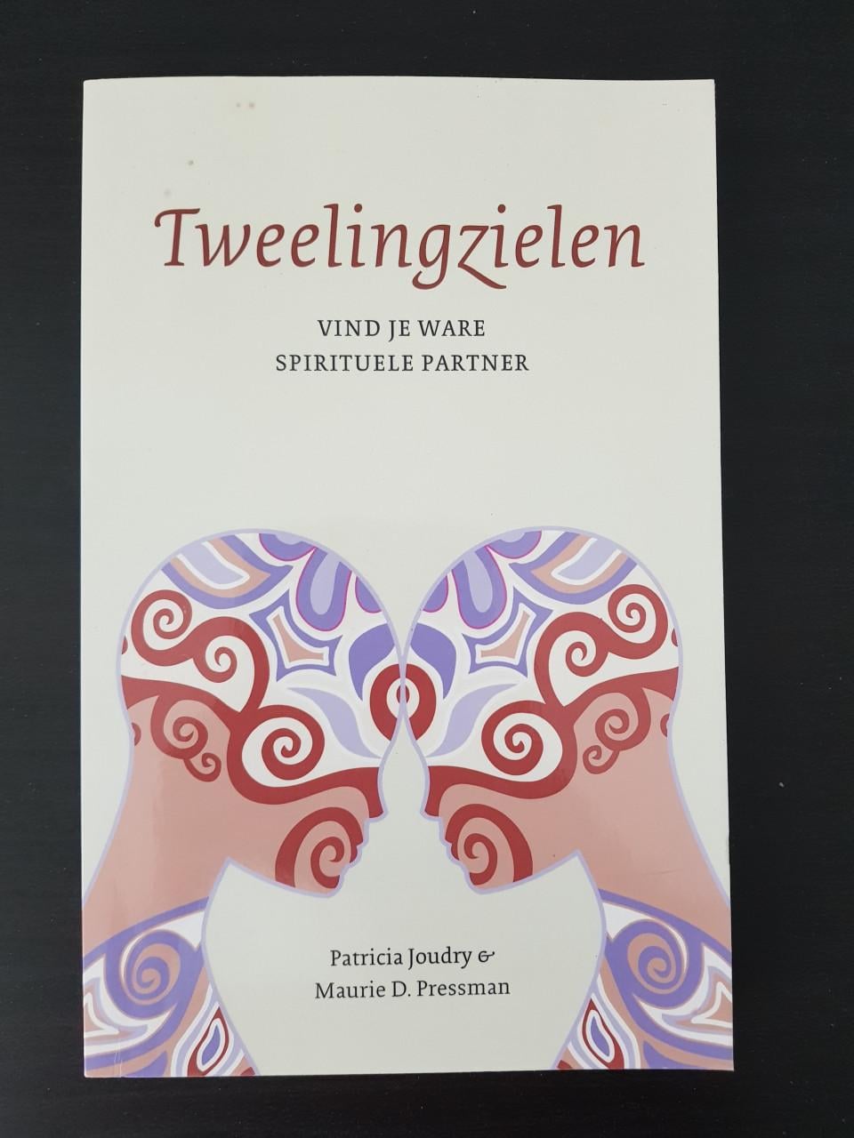 Tweelingzielen - Patricia Joudry