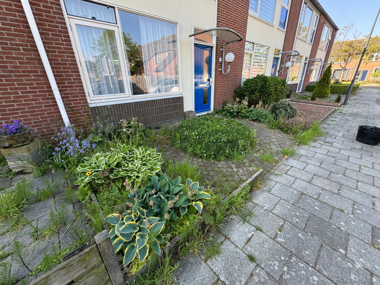 TUINMAN