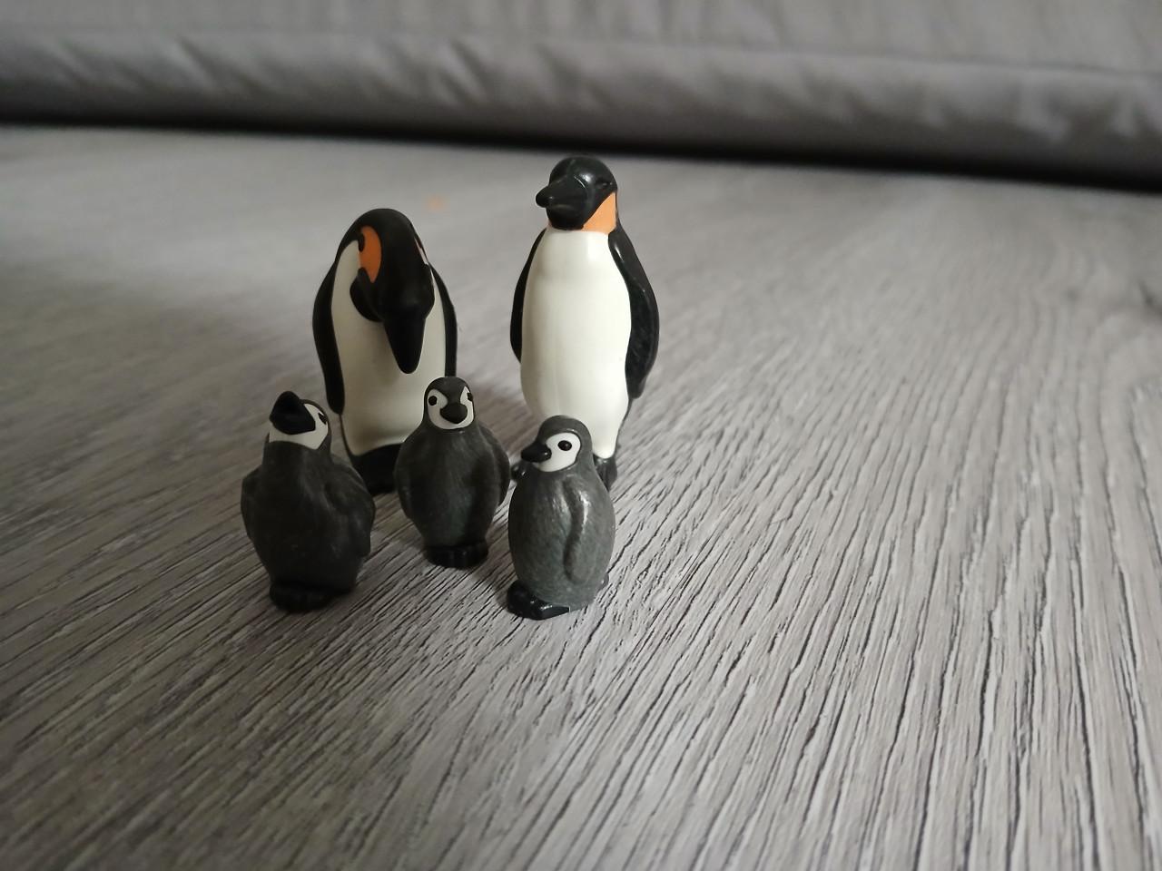 Playmobil pinguinverblijf 9062 dierenverzorger pinguin