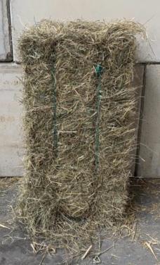 Gezocht !! kleine pakjes hooi