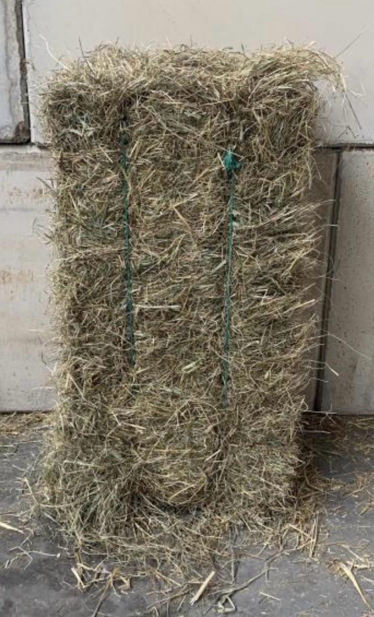 Gezocht !! kleine pakjes hooi