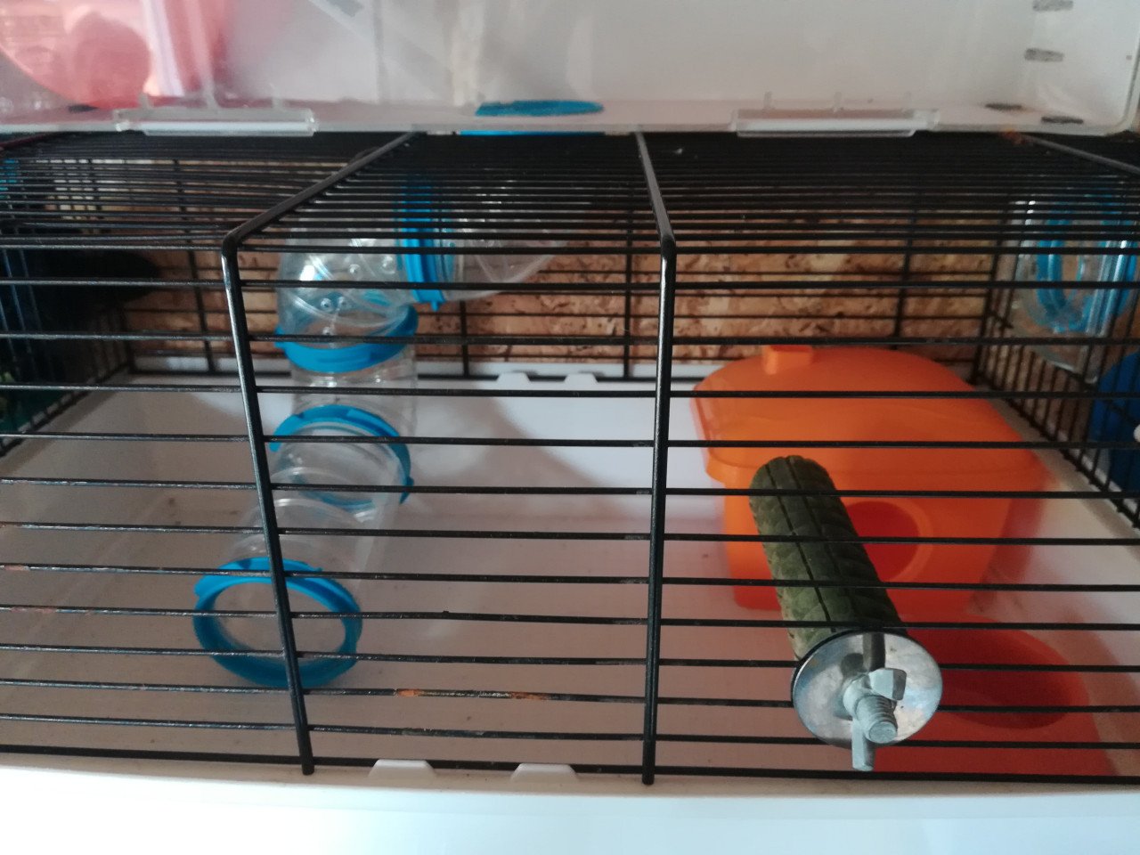 Hamsterkooi