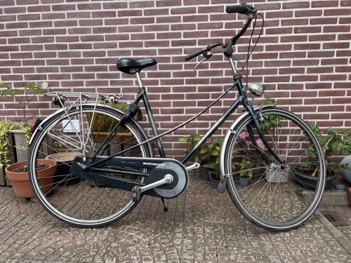 Dames- of herenfiets