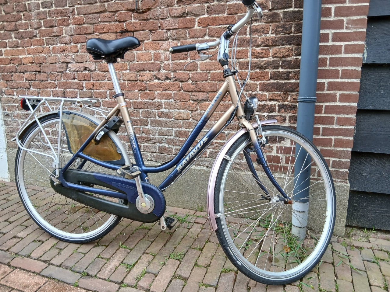 Batavus