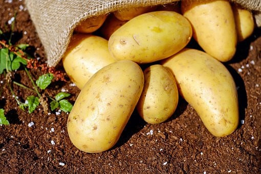 Moestuinen vrij op complex Nadorst Middelburg
