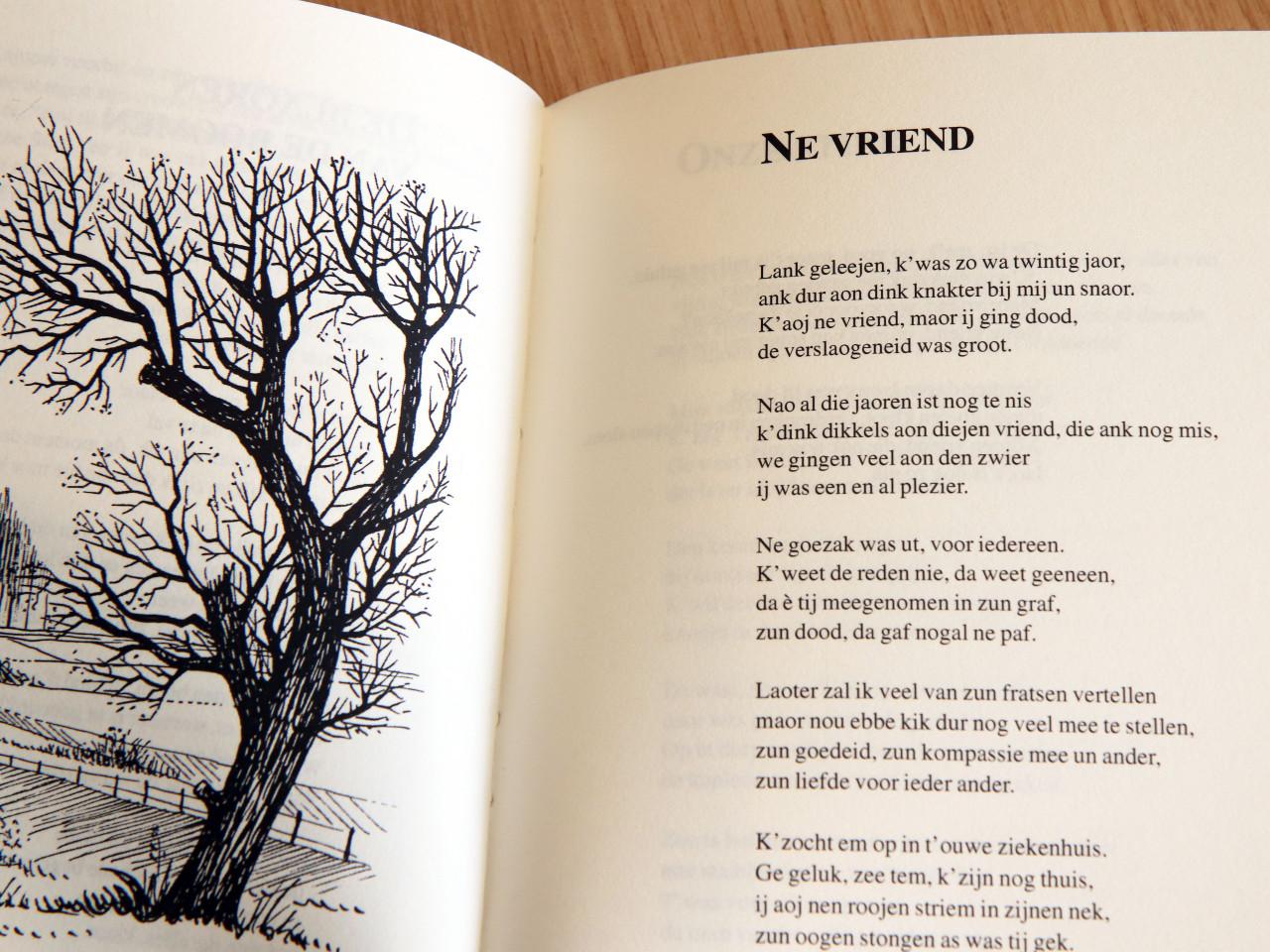 Meer Graauwse Streken (Désiré de Waal)